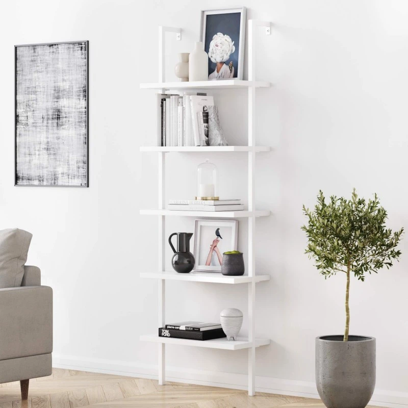 book Shelf in the living room